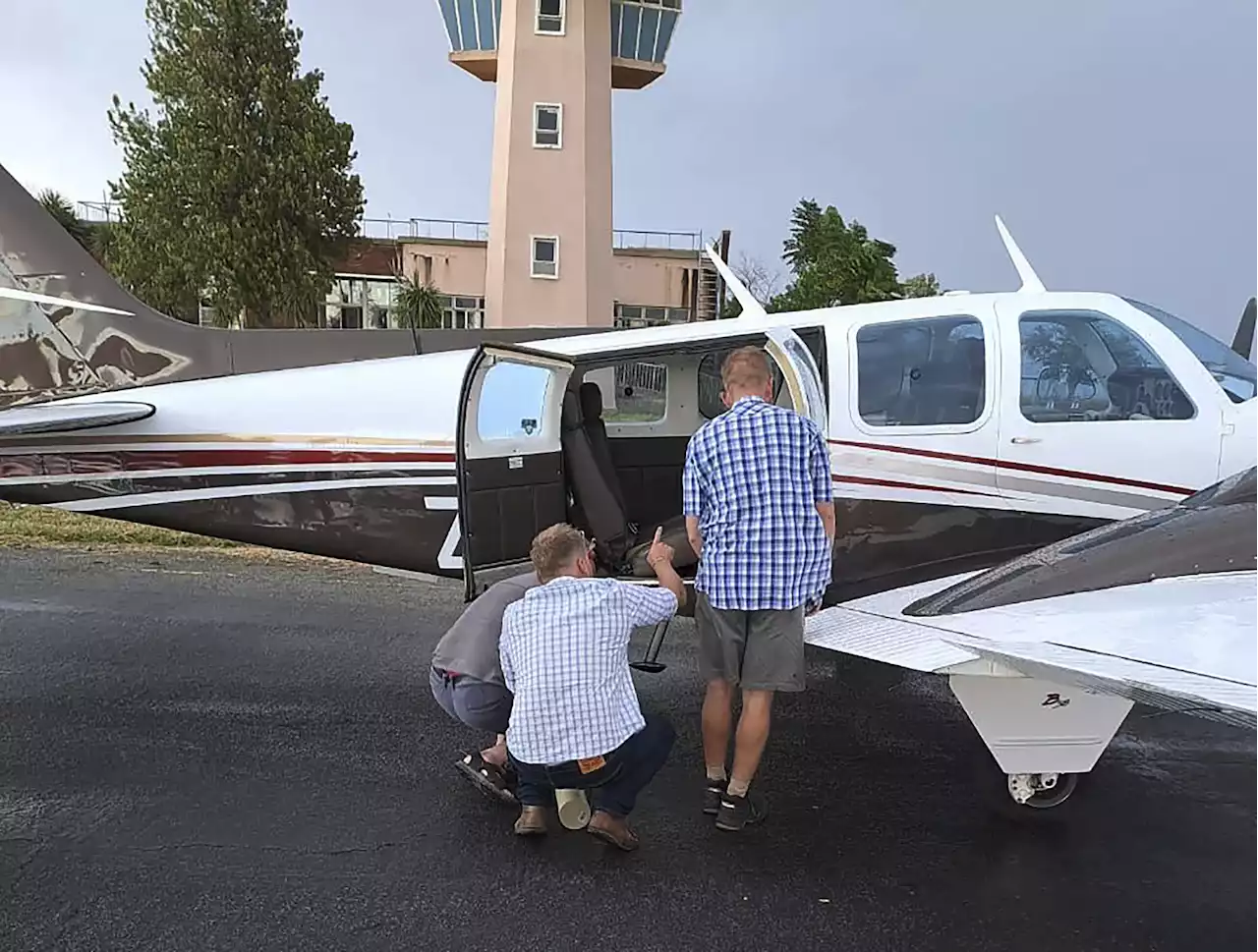 Snake on a plane! South African pilot finds cobra under seat