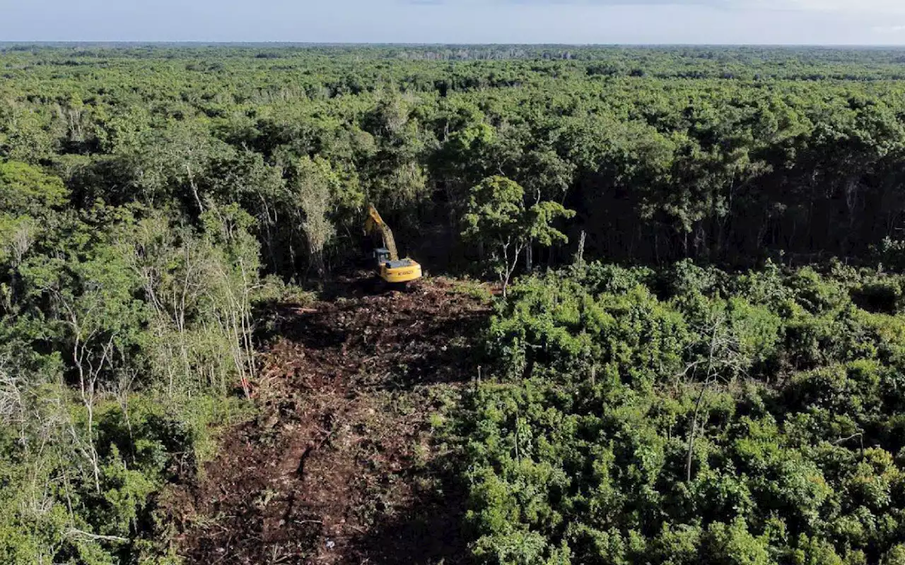 Sedena construye hotel sin autorización en reserva natural de Calakmul