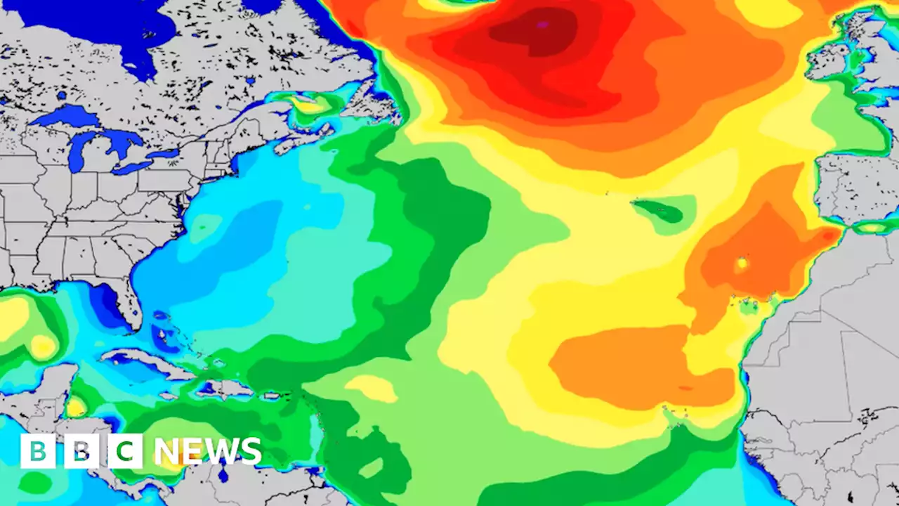 Devon-based surf forecaster Magic Seaweed loses name in merger