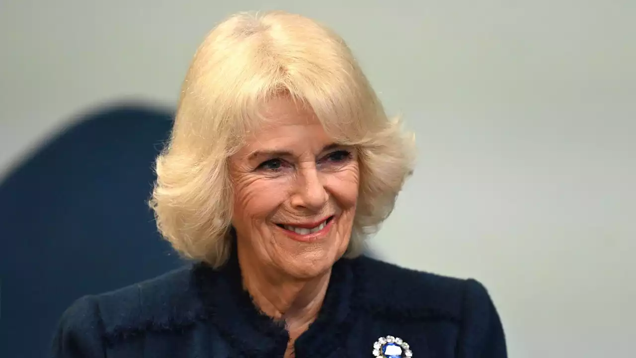 Couronnement de Charles III : ce rôle clé que vont jouer les trois petits-fils de Camilla