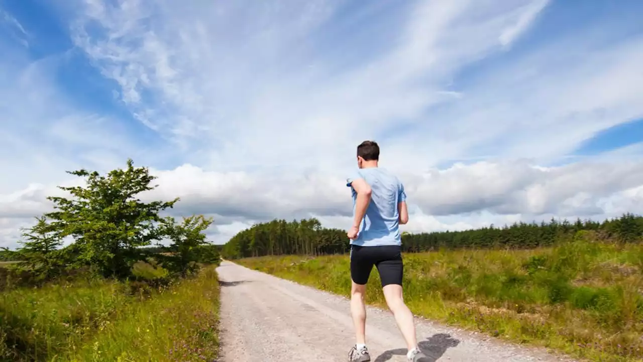 Val di Sole, runner trovato morto nel bosco: tra le ipotesi l'aggressione di un animale selvatico