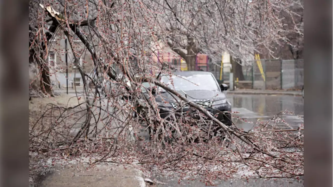 Nearly 119,000 Hydro One customers without power after brutal storm