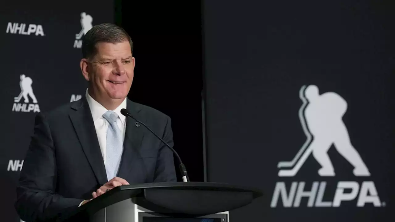 'Union guy through and through': New NHLPA boss getting positive early reviews