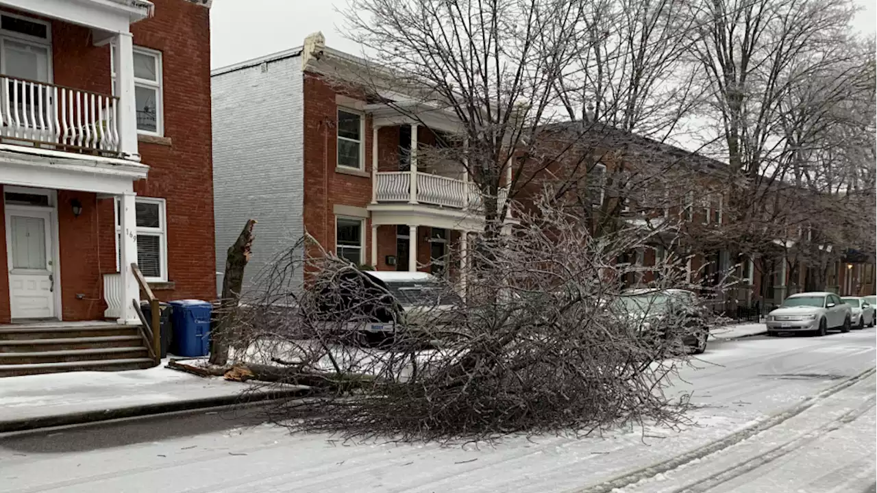 Thousands of homes, businesses in Ottawa without power as storm cleanup begins