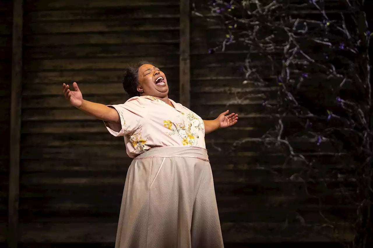 DCPA's Musical Adaptation of Alice Walker's The Color Purple Honors Black Women