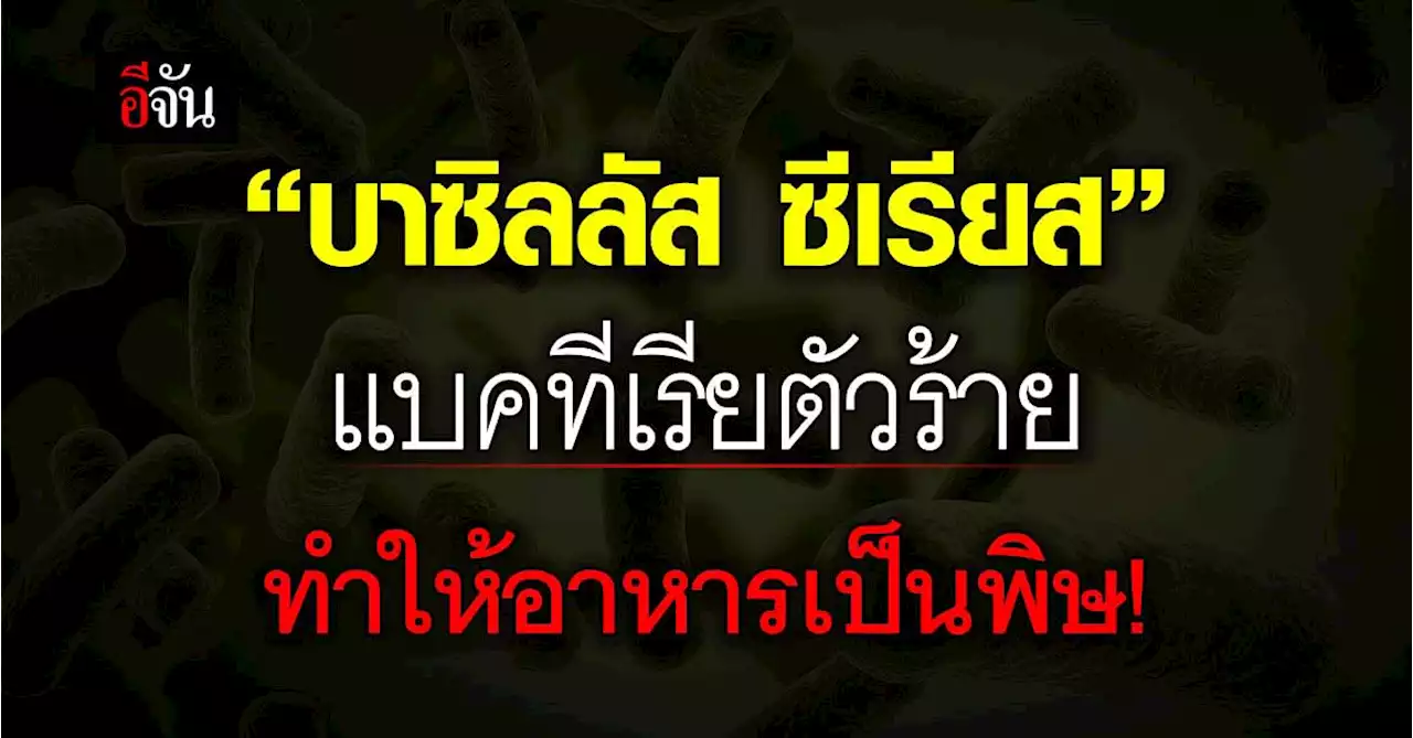 ทำความรู้จัก บาซิลลัส ซีเรียส แบคทีเรียตัวร้าย ที่ทำให้อาหารเป็นพิษ