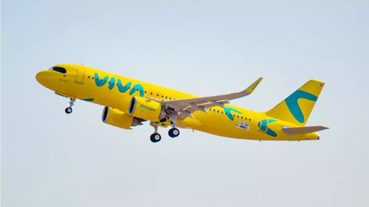 Viva Air pide que se dé la viabilidad para su integración con Avianca