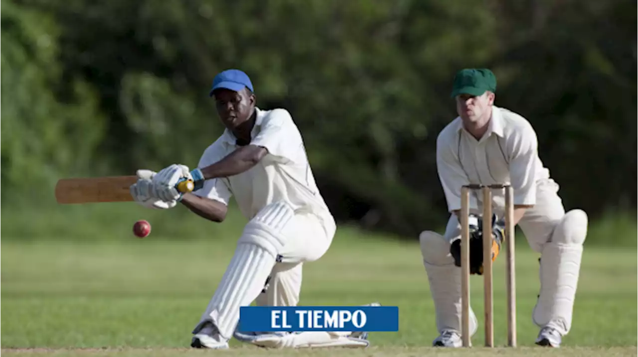 Cricket: estos son los equipos más laureados de la disciplina en la actualidad