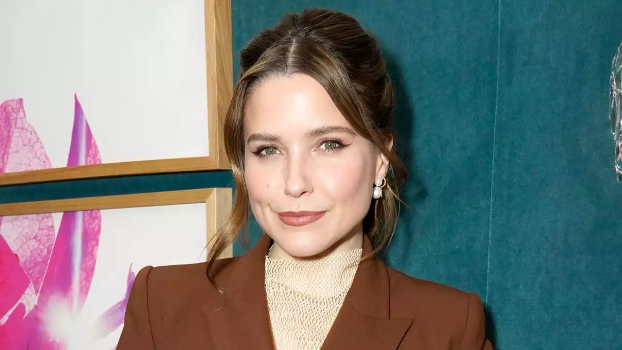 Sophia Bush Claims a Fan Once Called Her a 'Piece of Meat'