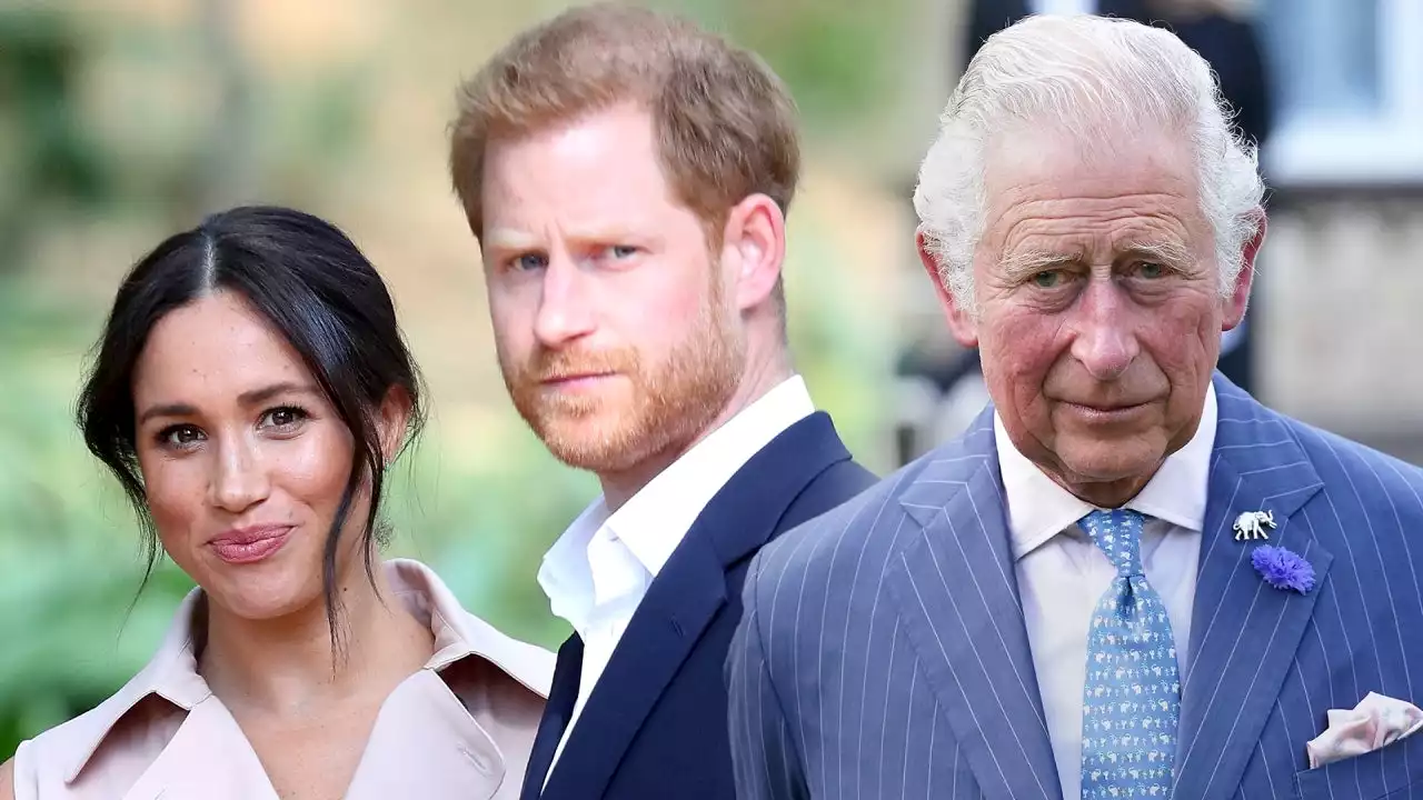 Why King Charles Did Not See Prince Harry During His Trip to London