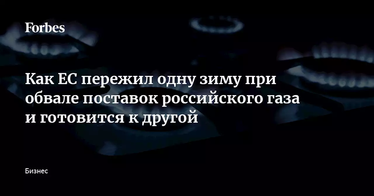 Как ЕС пережил одну зиму при обвале поставок российского газа и готовится к другой