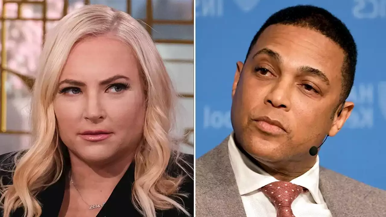 Meghan McCain, other media figures 'repulsed' by Lemon after bombshell misogyny allegations: 'Absolutely nuts'