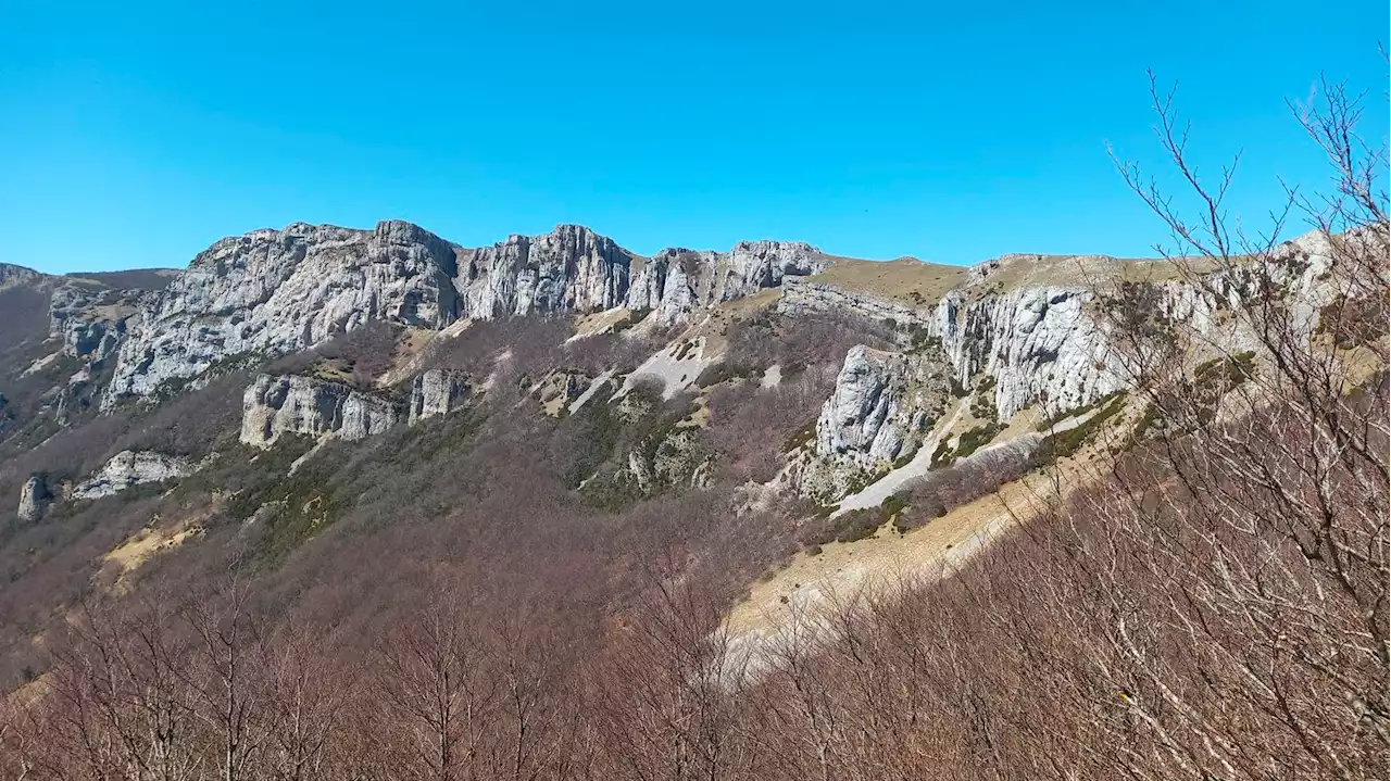 Disparition d'Eric Foray : sa voiture et des restes humains découverts dans le Vercors