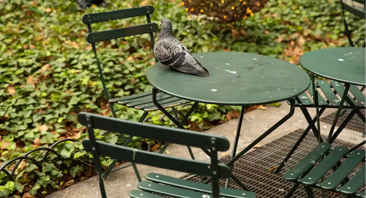 How Bryant Park's iconic chairs revolutionized public spaces