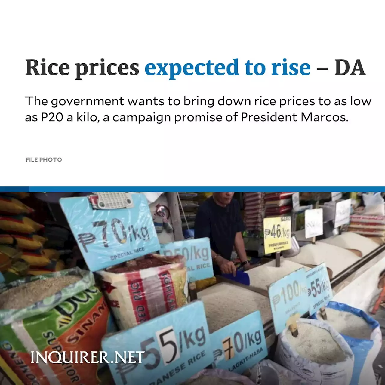 Rice prices expected to rise – DA