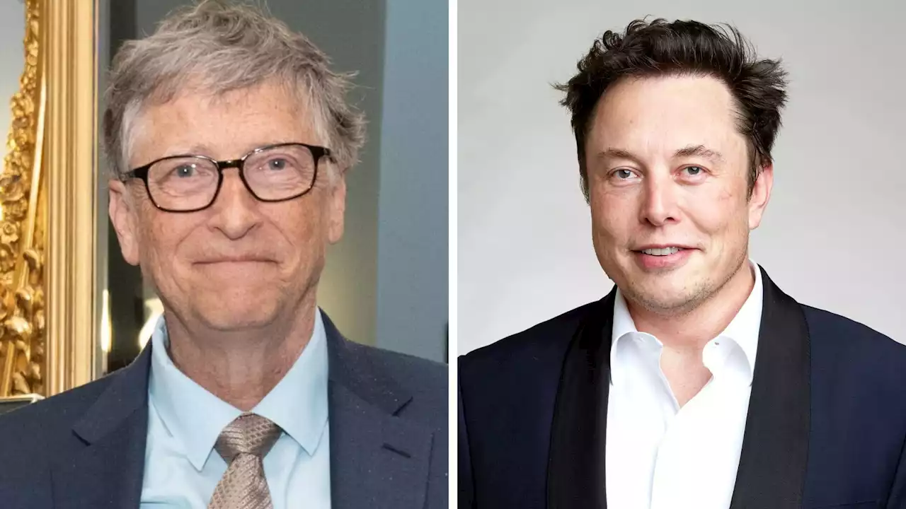 Microsoft’s Bill Gates rejects Elon Musk backed letter to pause AI