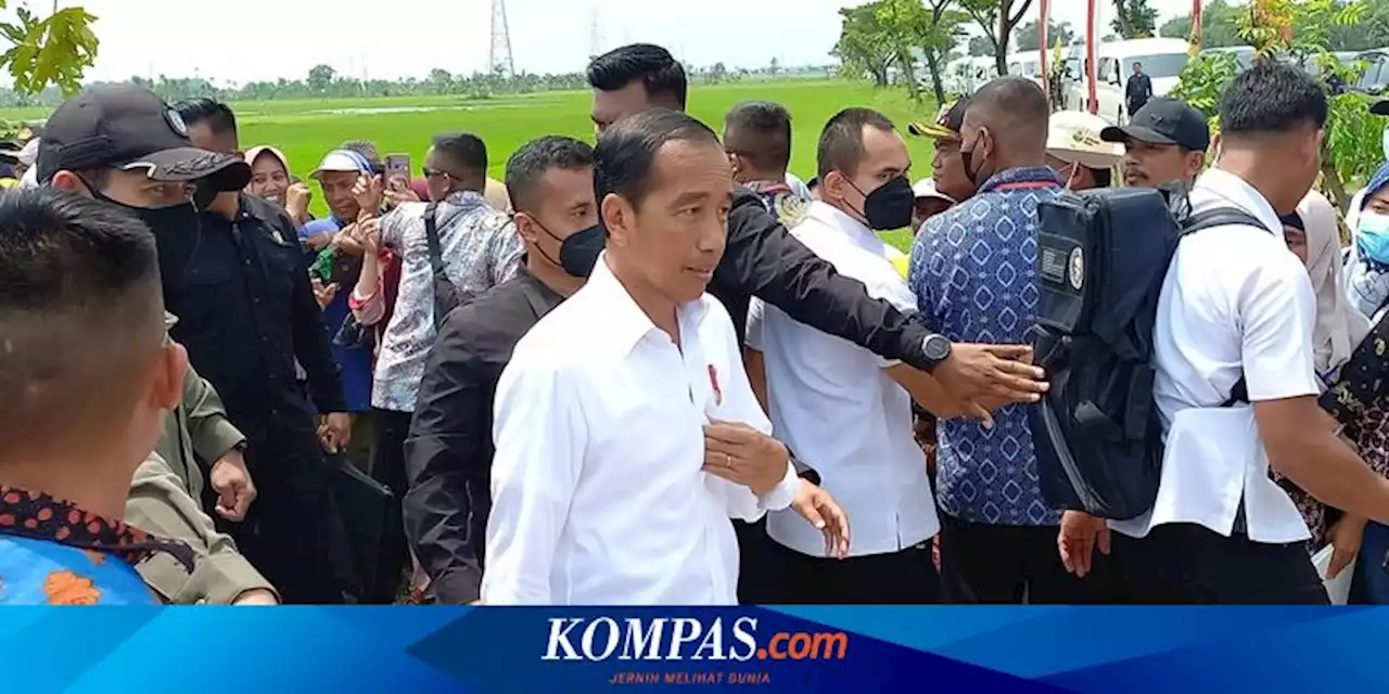 Jokowi Sebut Impor 2 Juta Ton Beras untuk Antisipasi El Nino