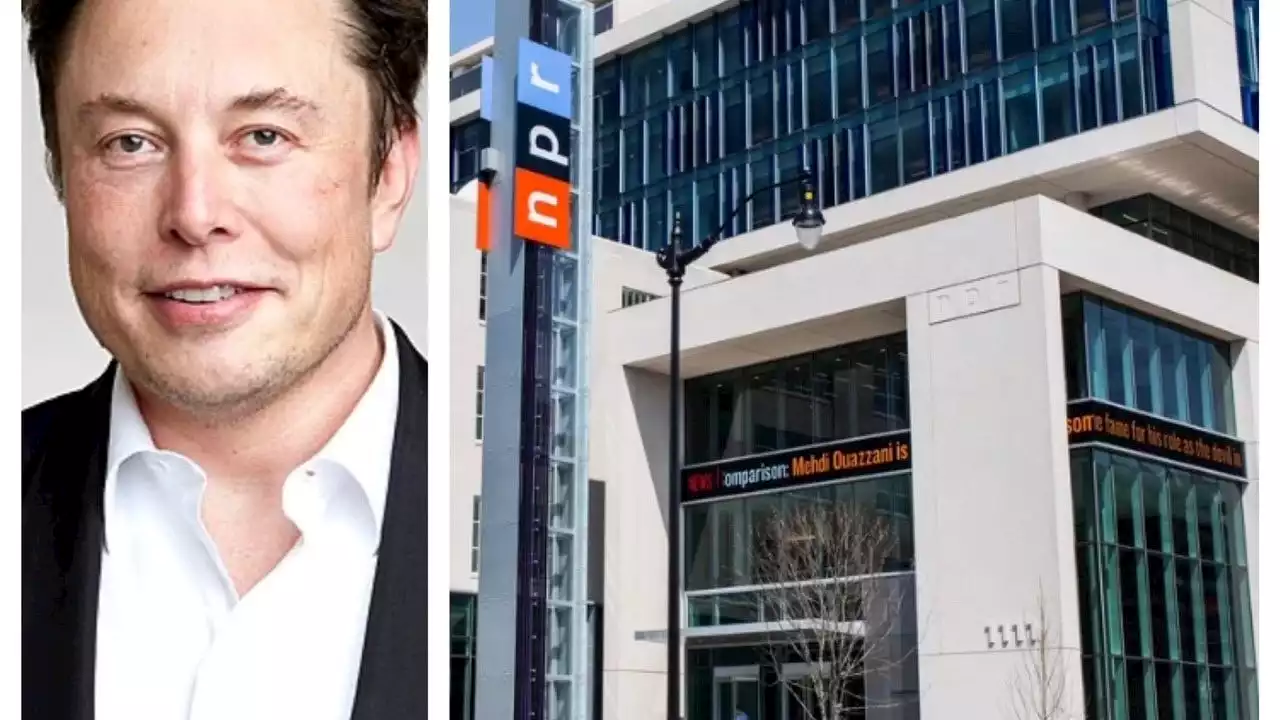 Elon Musk calls NPR 'state-controlled' media; tweet sparks backlash