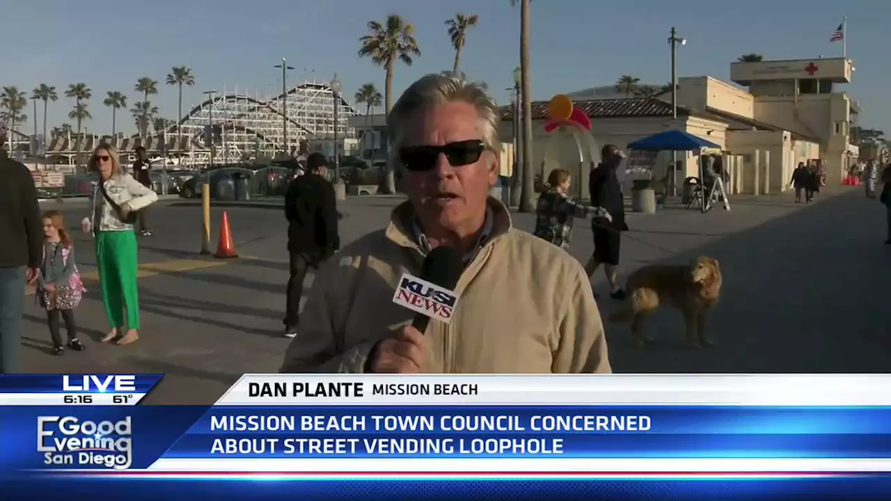 Street vendors in Mission Beach discover legal loophole -