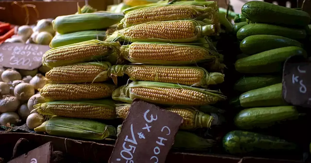 Recetas Di Noticias | Las últimas noticias en Recetas Di