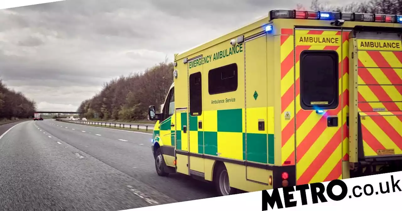 Paramedic stole from 94-year-old woman's savings moments after she died