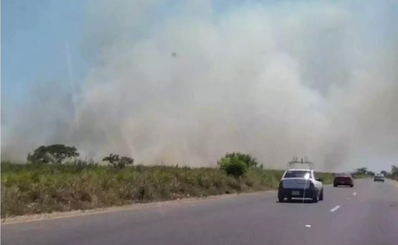 Por incendio de pastizal, cierran carretera estatal al sur de Veracruz