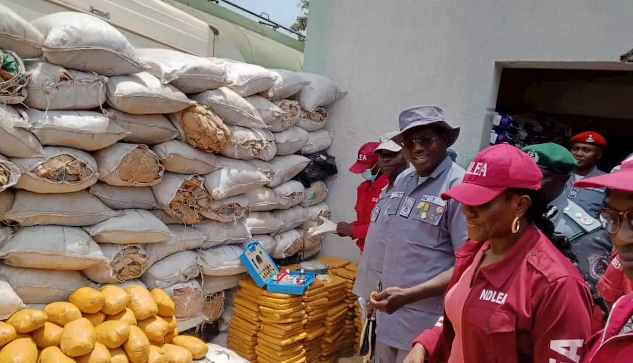 Ogun customs intercept 21 trucks of smuggled rice, N98m cannabis