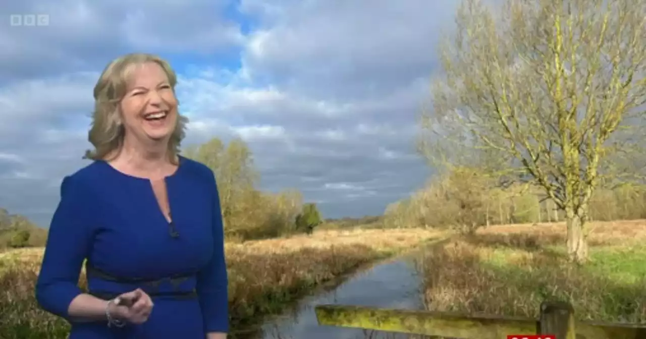 BBC Breakfast star Carol Kirkwood halts show with career news