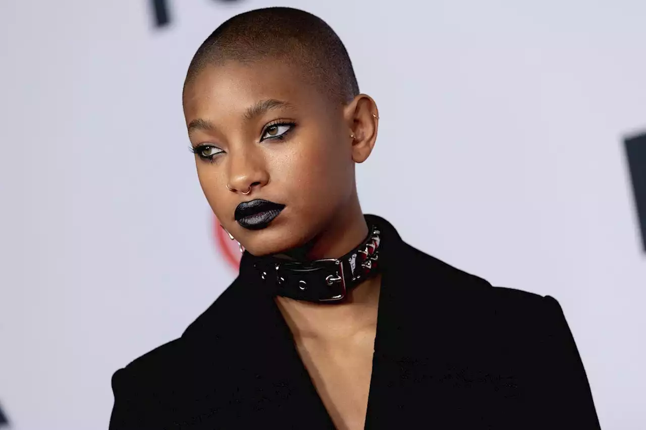 Willow Smith’s New Hair Is A Major Change From Her Signature Crop