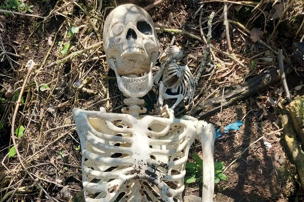 Cops shocked to find ‘human’ skeleton with hook for hand, bird on shoulder