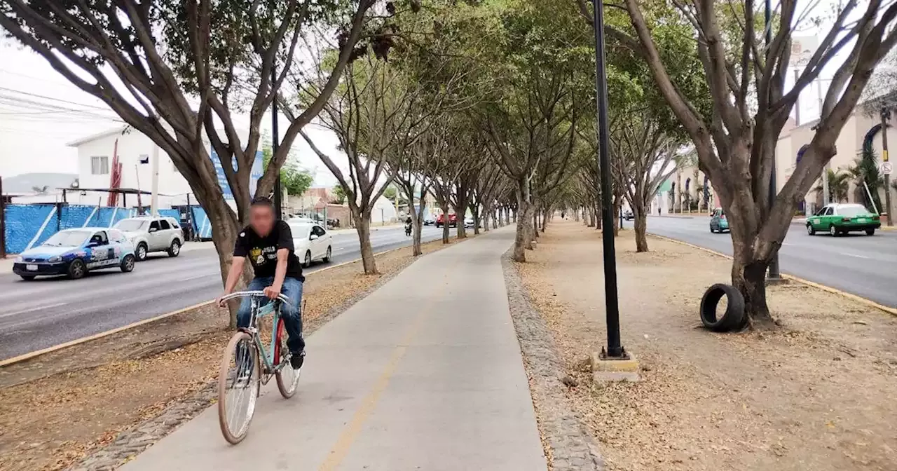 El Peligro De Andar En Dos Ruedas Estas Son Las Ciclovías Más