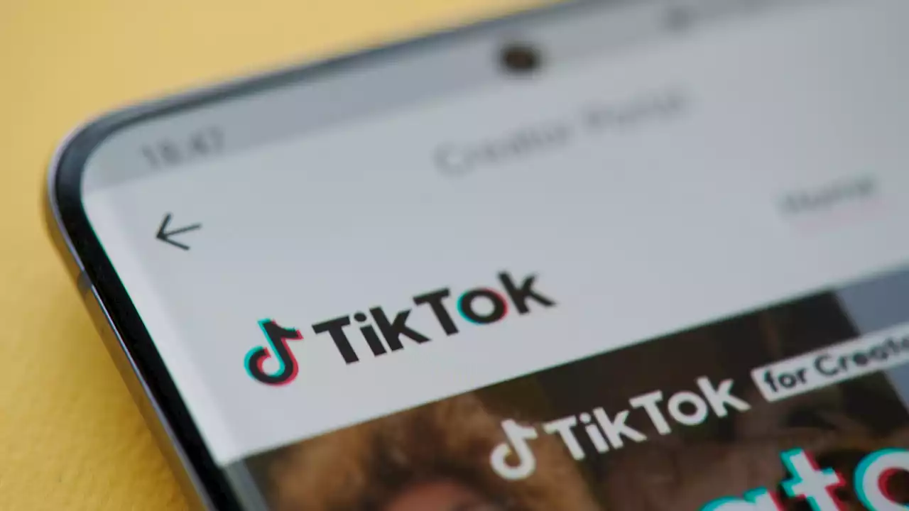 The 'TikTok ban' is a legal nightmare beyond TikTok