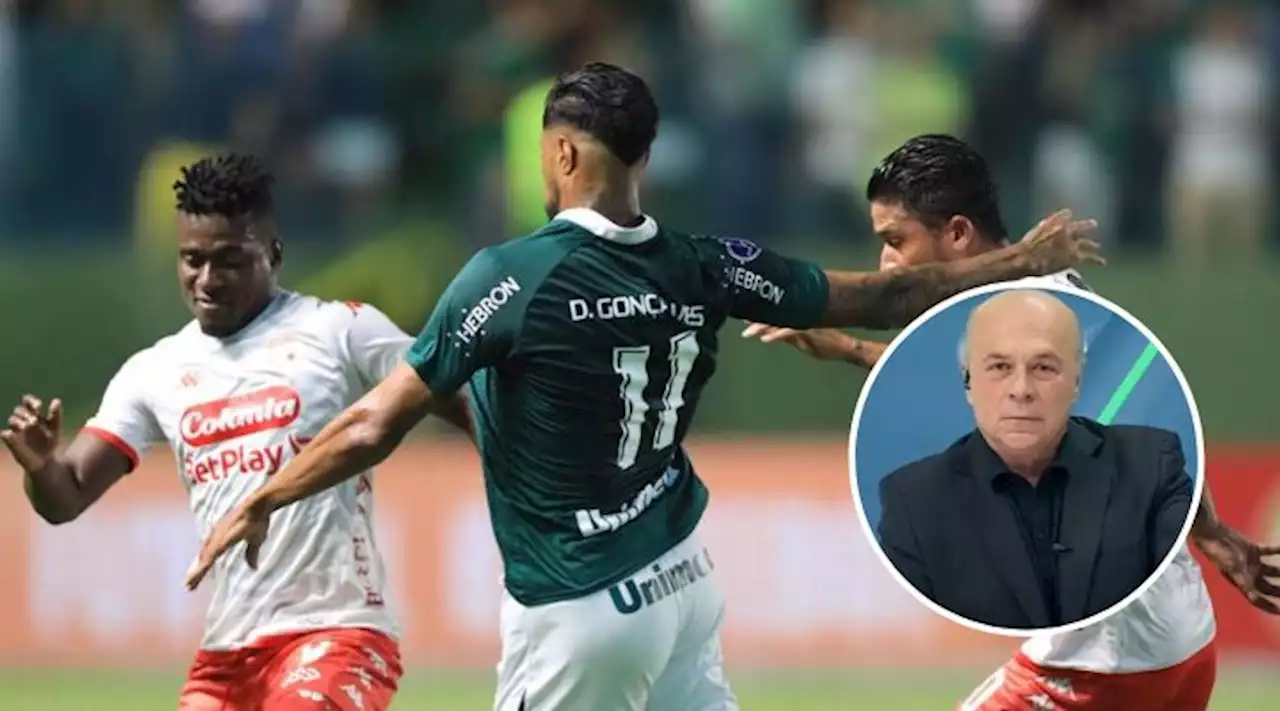 'Solemos ser equipos arratonados': Vélez, duro con clubes colombianos, menos con Santa Fe - Pulzo