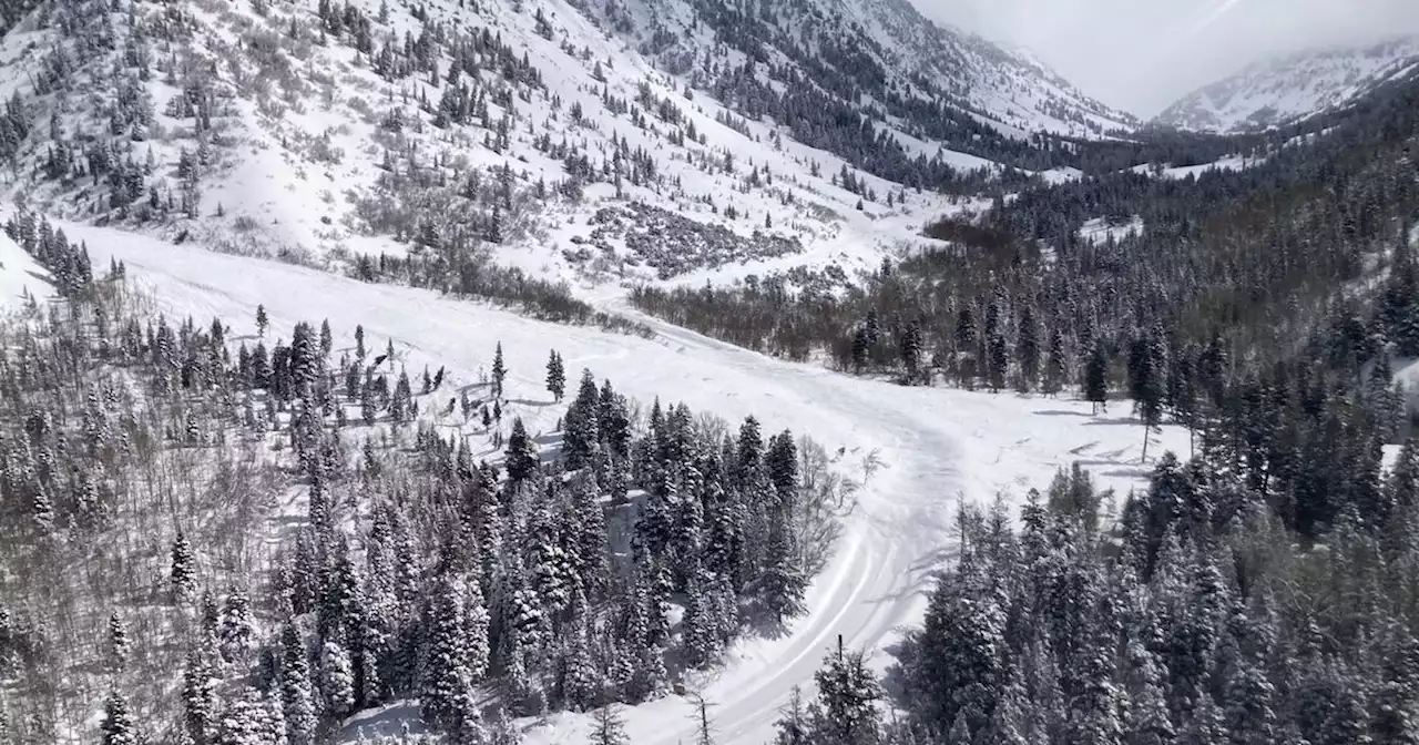 Avalanche chaos causes Cottonwood Canyon closures, strands thousands