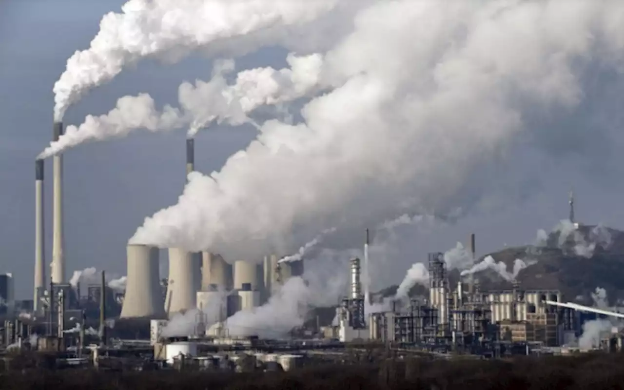 NSIA, Vitol sign $50m deal for carbon removal projects | TheCable