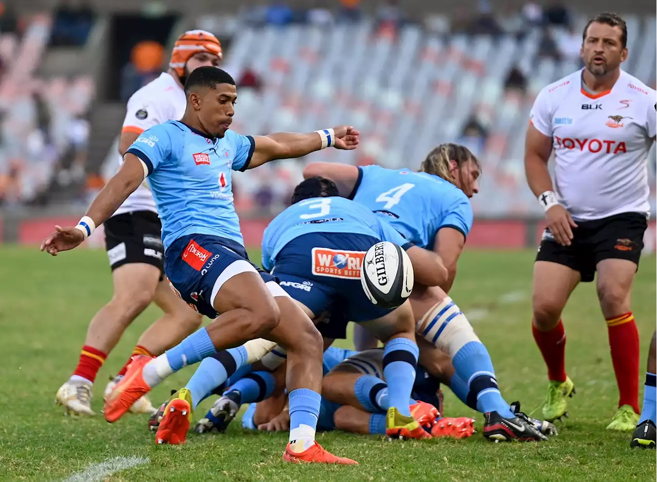 Champions Cup defeat gives Bulls hope in their Currie Cup campaign | The Citizen