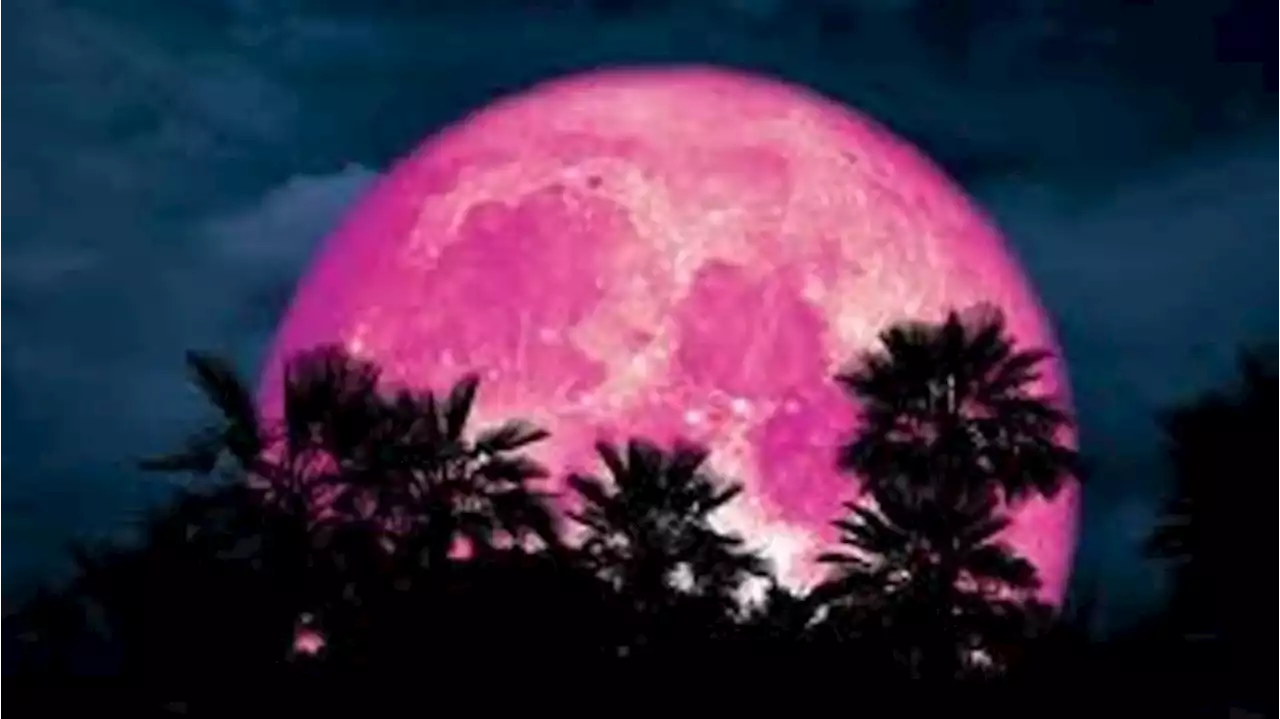 Ada Pink Moon Malam Ini: Berkaitan sama Yahudi, Hindu dan Buddha