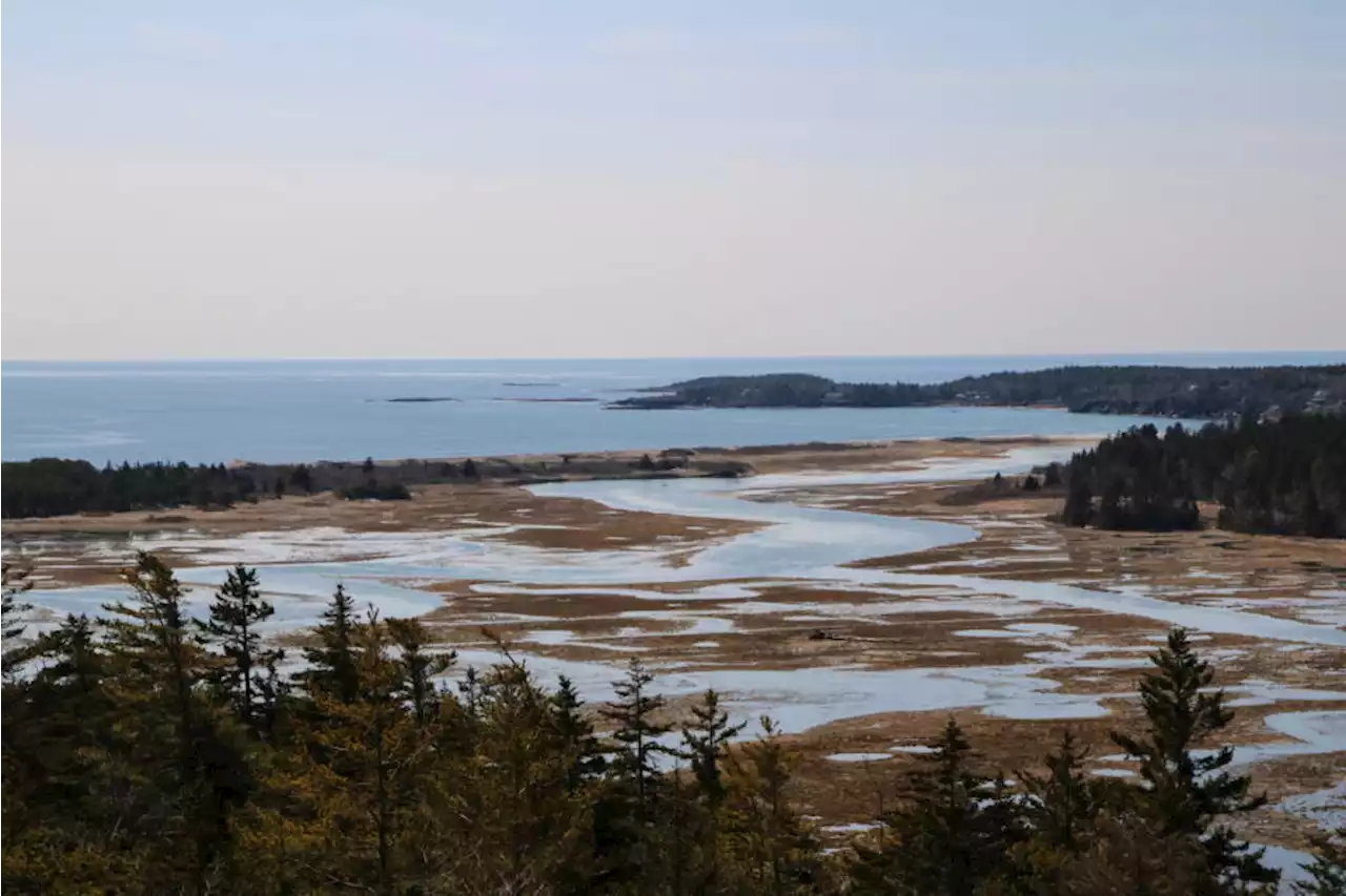 Maine beaches that have escaped development can help us understand rising seas