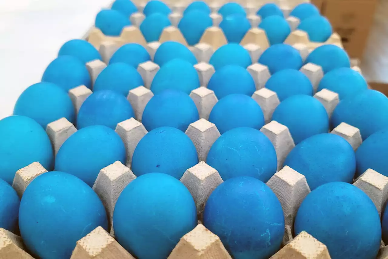 How 30,000 eggs go from an North Carolina farm to the White House Easter Egg Roll