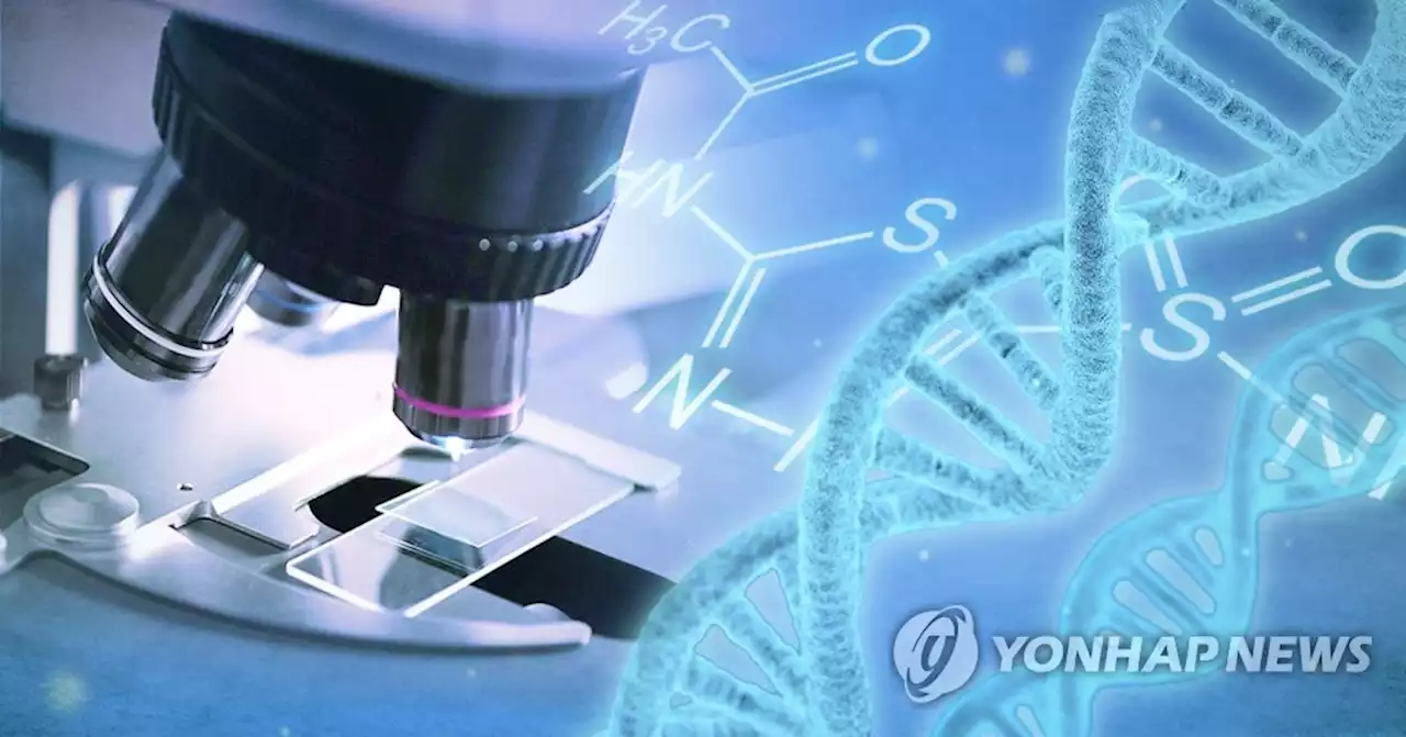 바이오헬스, 제2의 반도체로…5년간 11만명 인재 양성 목표 | 연합뉴스