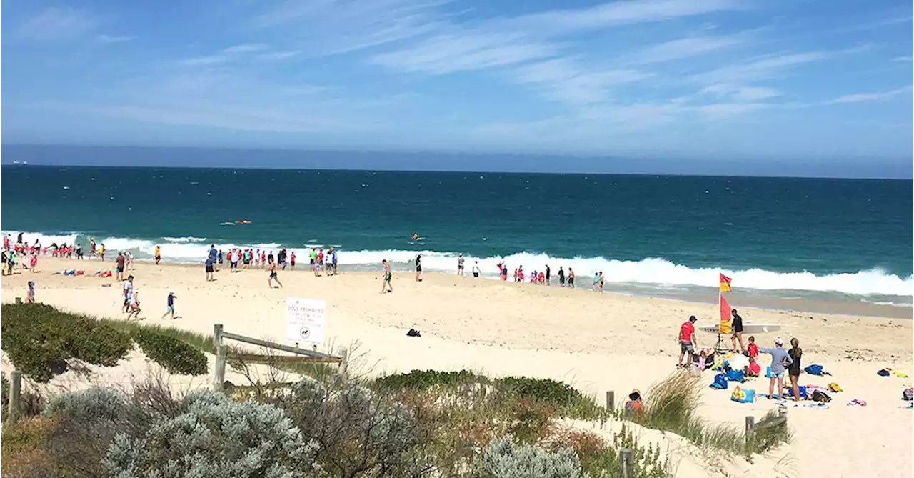 Five sharks spotted swimming near popular WA beaches in one day