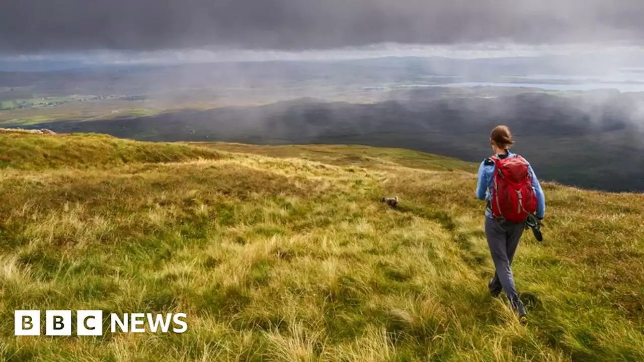 Tick germ risk should be mapped, according to GP