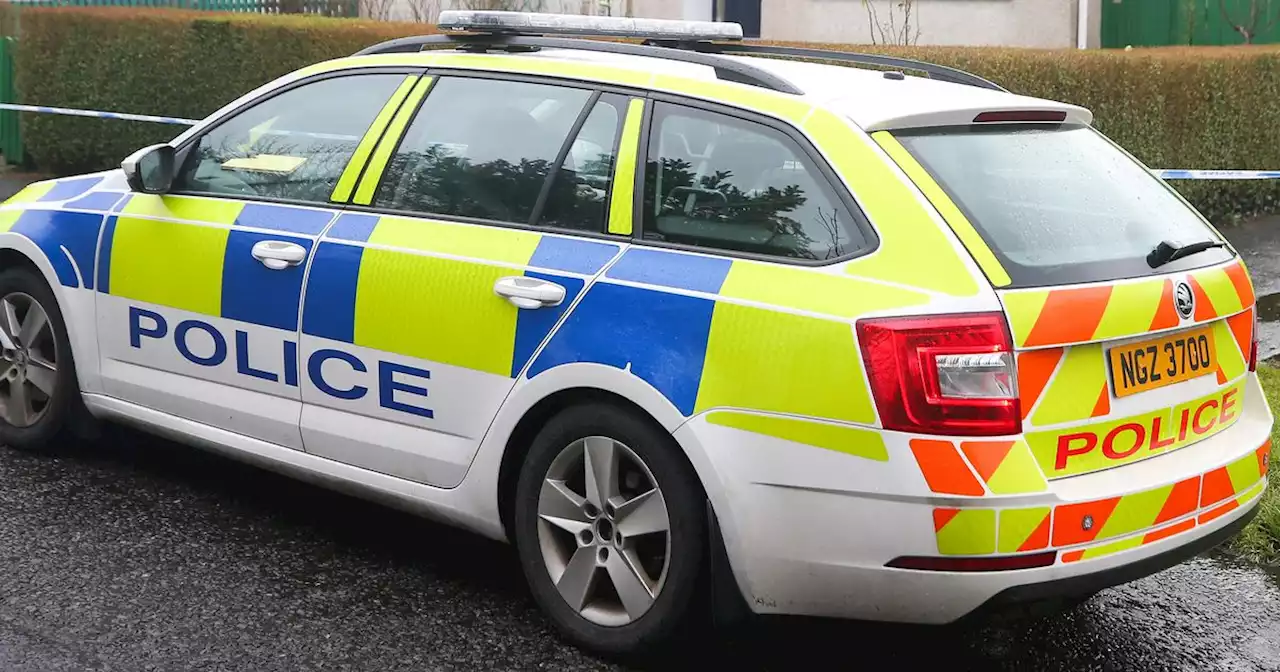 Masked men in Belfast burglary 'threaten woman and hit dog'