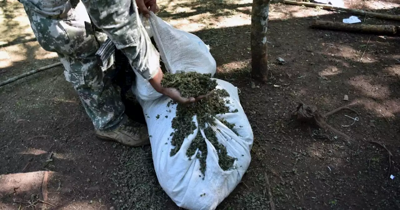 Policía y Armada incautaron cerca de tres toneladas de marihuana que iba para Brasil