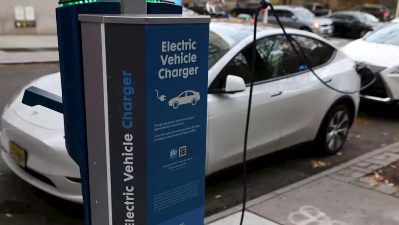 Used US electric vehicle sales jump as prices fall -group