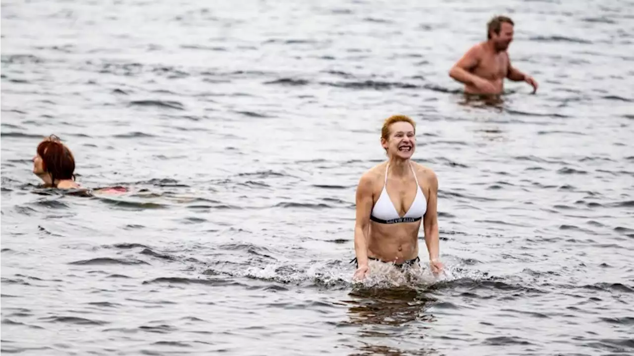 Anbaden am Wannsee bei 8 Grad Wassertemperatur