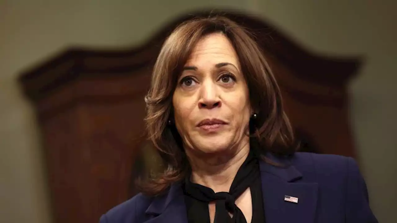 Vice President Kamala Harris to meet with expelled Black Tennessee lawmakers | CNN Politics