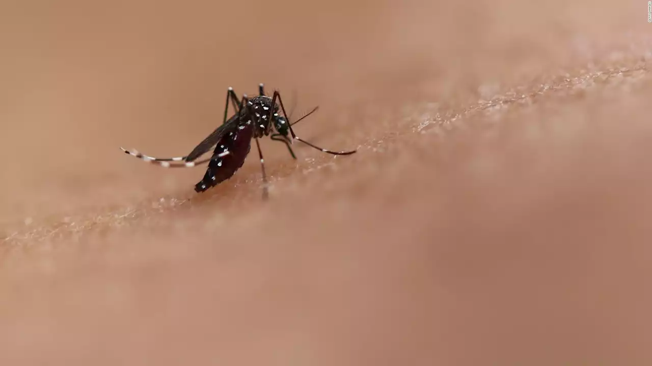 La visita de CNN a un hospital que trata casos de dengue | Video