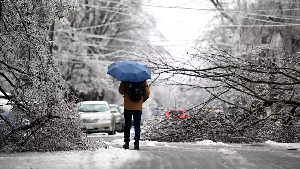 Hydro Ottawa sets goal to restore power to all customers by Saturday night