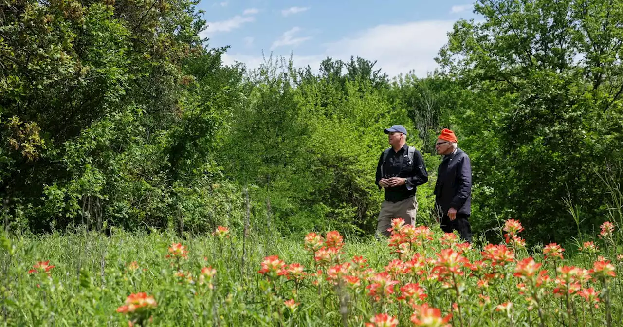 A bird-watching hike through Goat Island Preserve, Dallas County’s wildest green space